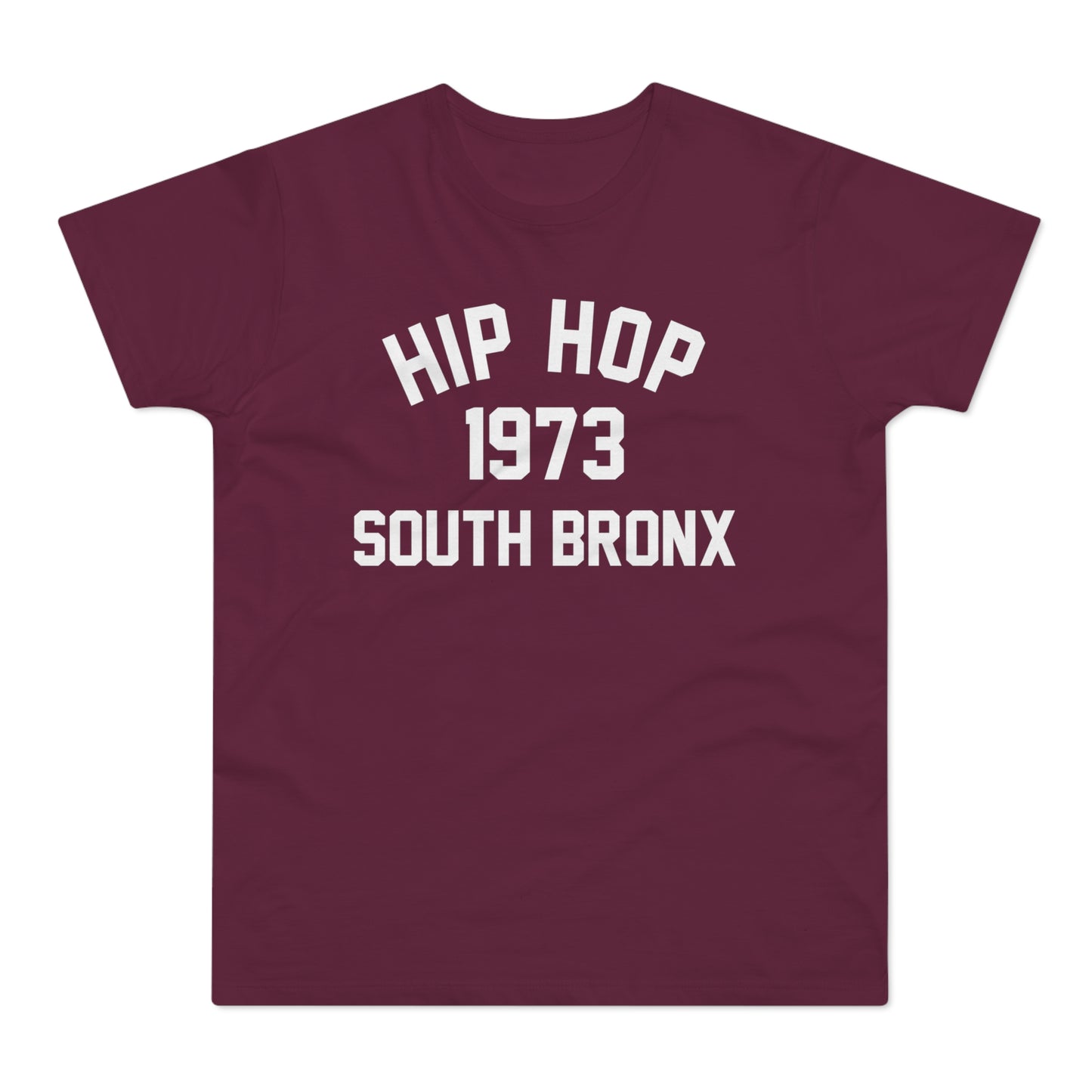 Hip Hop 1973 T Shirt (Standard Weight)